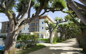 massage naturiste niort Saint-Herblain massage naturiste niort Saint-Herblain