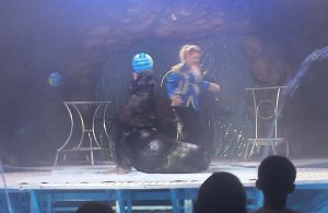 Les résidents d’Espace & Vie Pornic au spectacle « Cirque sur l’eau »