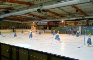 Les seniors d’Espace & Vie Niort s’invitent au gala de patinage artistique
