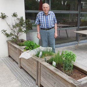 Senior jardine dans les bacs