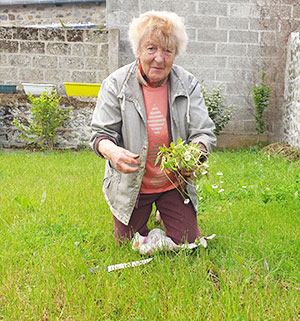 Position adéquate jardinage