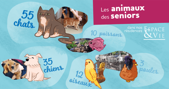 infographie animaux de compagnie chez Espace & Vie