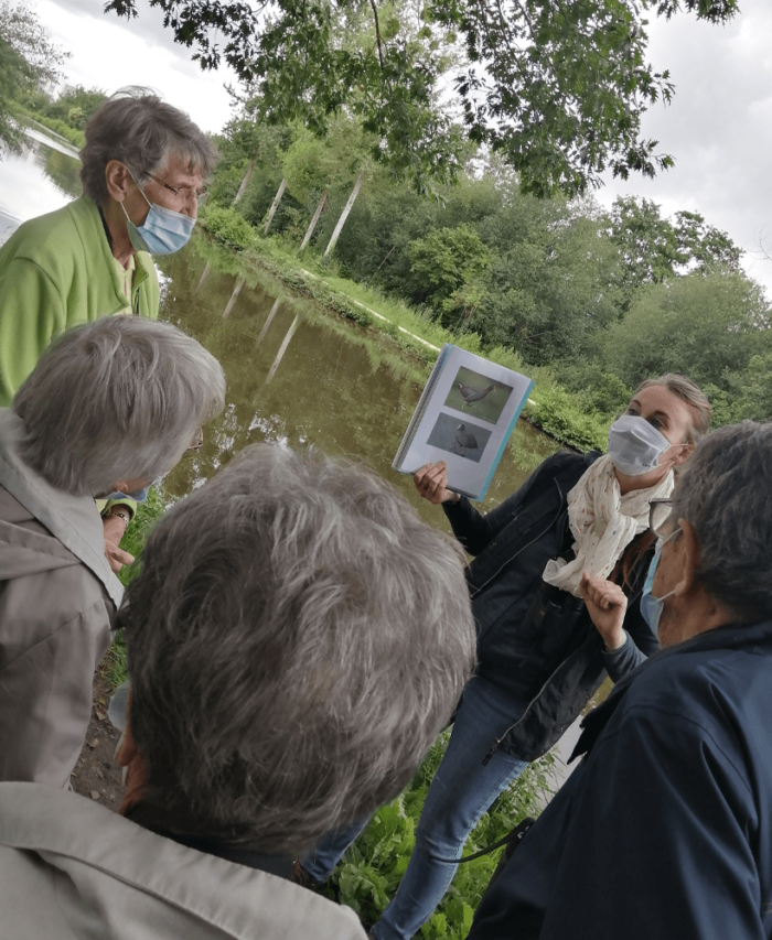 ornithologie espace et vie rennes bellangerais