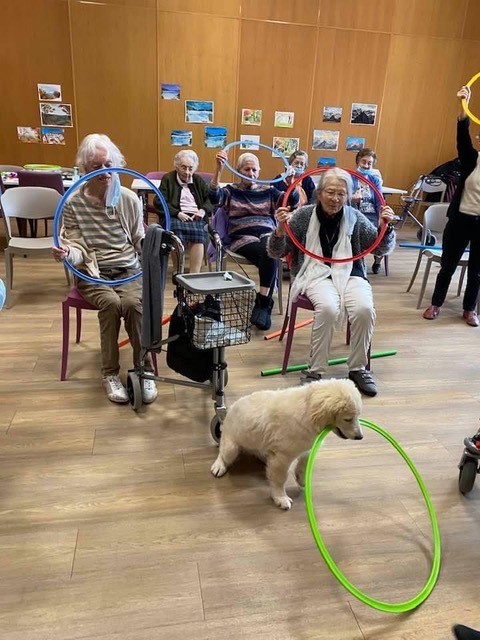 médiation animale et seniors à saint aubin de médoc